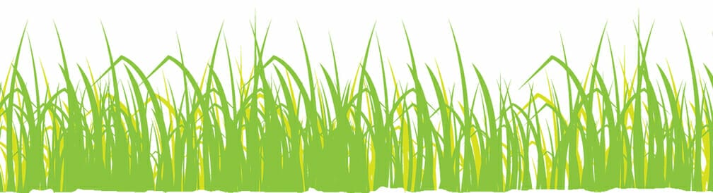 Outdoors on a Shoestring with Julie Mountain