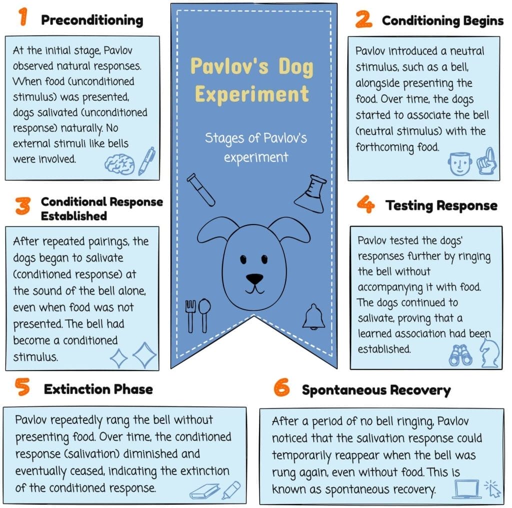 Pavlov's Dog Experiment Diagram Explained